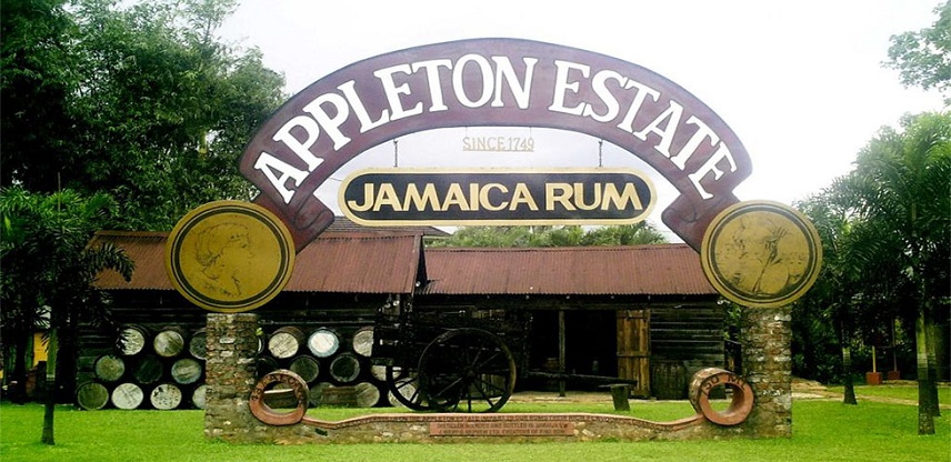 /Media/Attractions/Appleton_Estate2_Ez38Wym.Jpg