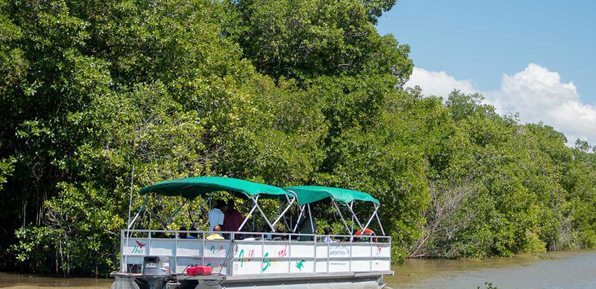 /Media/Attractions/Black-River-Safari.Jpg